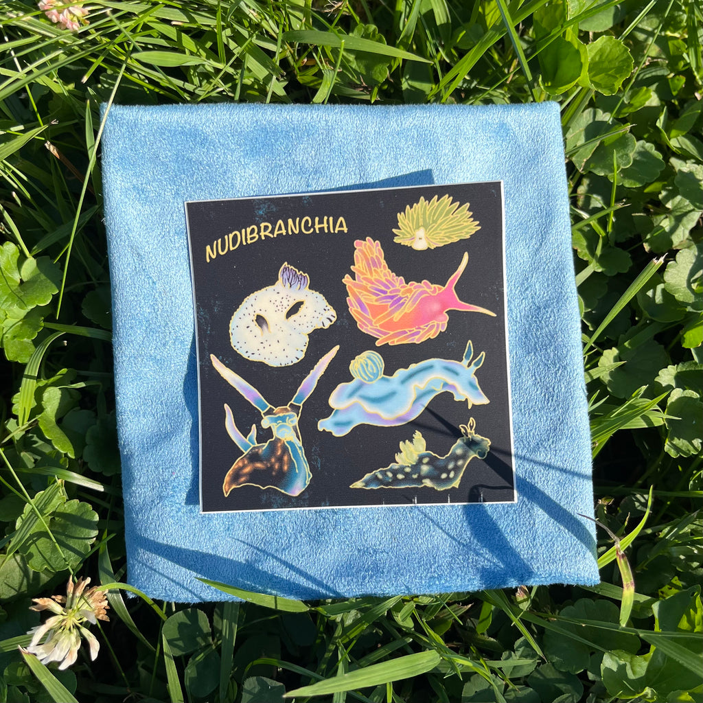 Nudibranchia Sticker