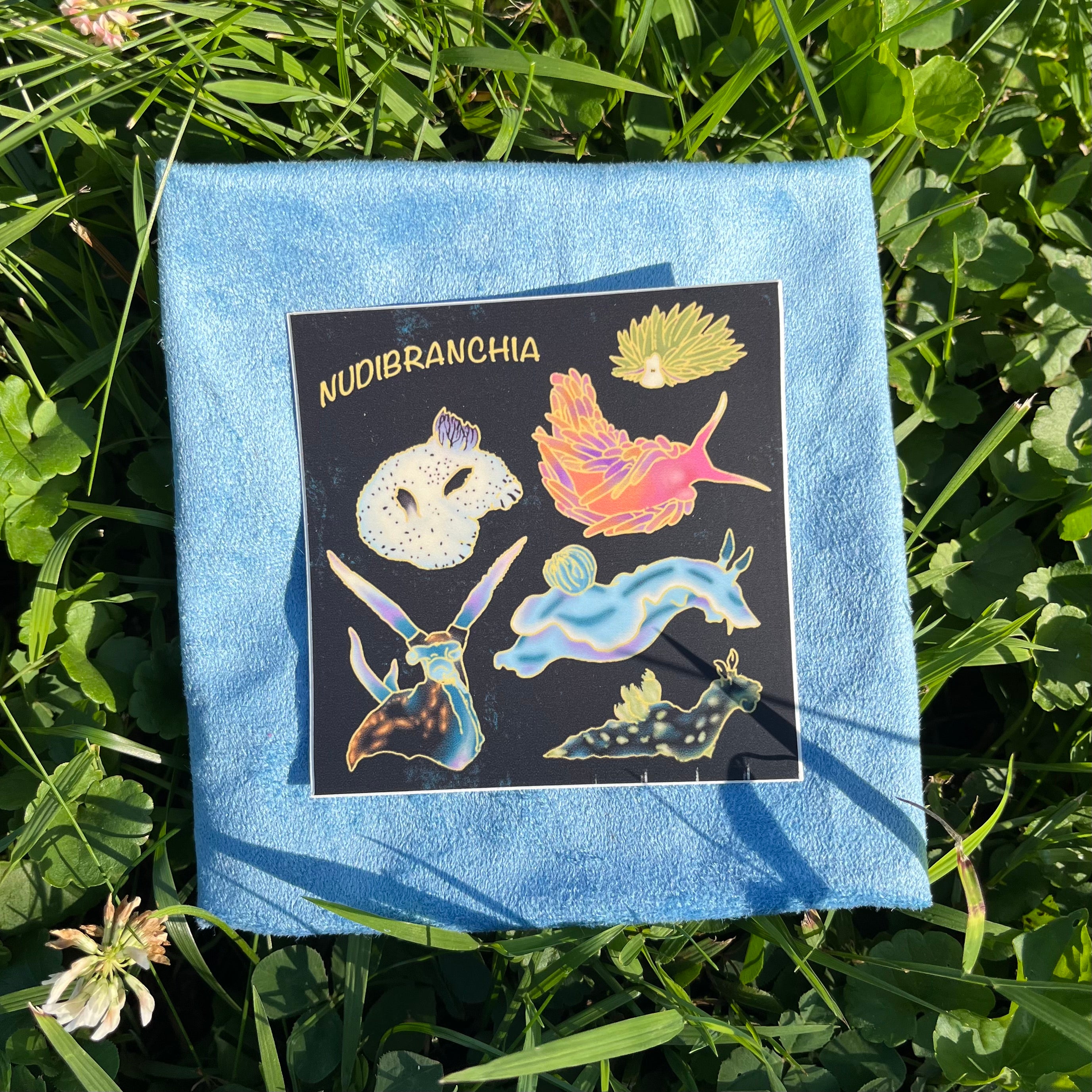 Nudibranchia Sticker