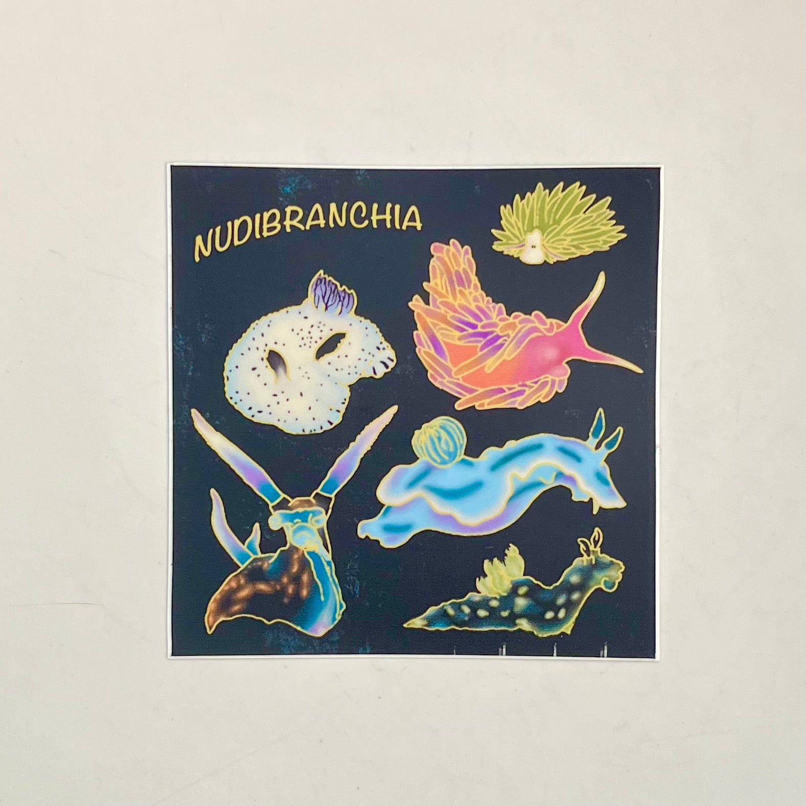 Nudibranchia Sticker